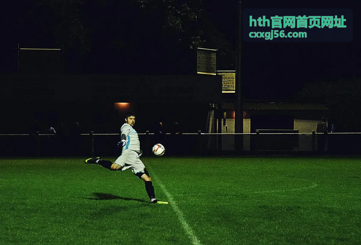 入口导航指南中的 hth官网首页网址 对应页面示意