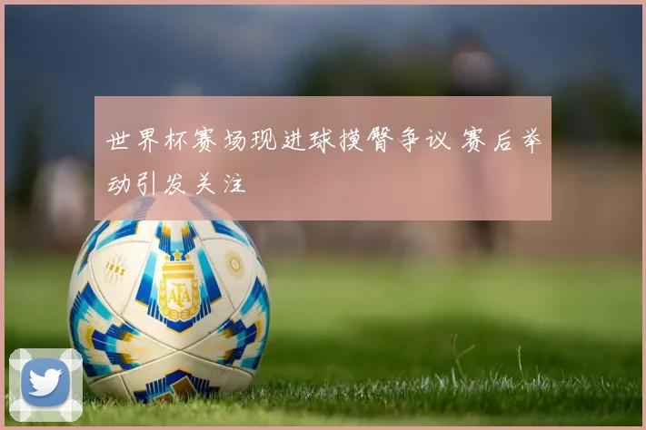 世界杯赛场现进球摸臀争议 赛后举动引发关注