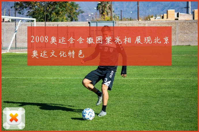 2008奥运会会徽图案亮相 展现北京奥运文化特色