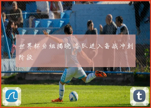 世界杯分组揭晓 各队进入备战冲刺阶段
