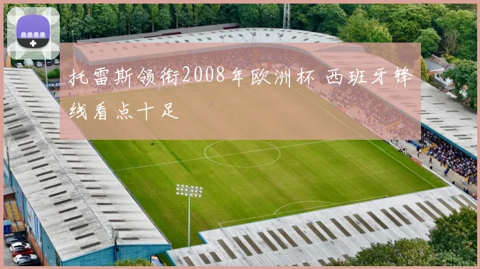 托雷斯领衔2008年欧洲杯 西班牙锋线看点十足