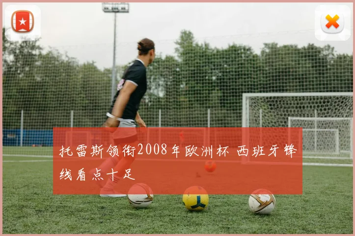 托雷斯领衔2008年欧洲杯 西班牙锋线看点十足