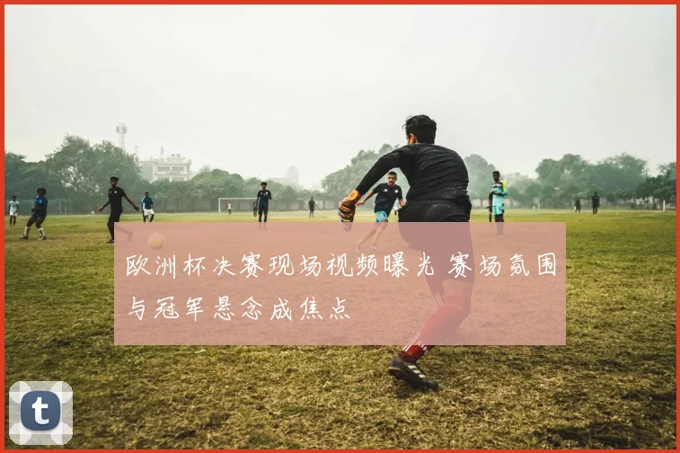 欧洲杯决赛现场视频曝光 赛场氛围与冠军悬念成焦点