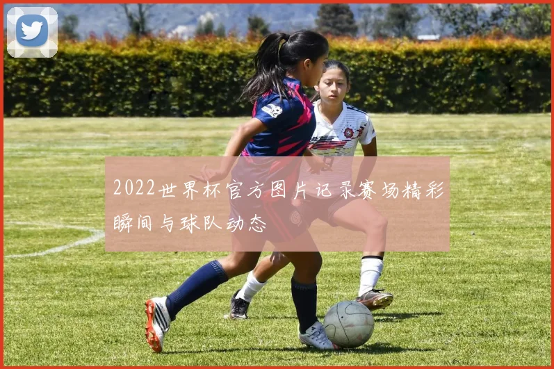 2022世界杯官方图片记录赛场精彩瞬间与球队动态