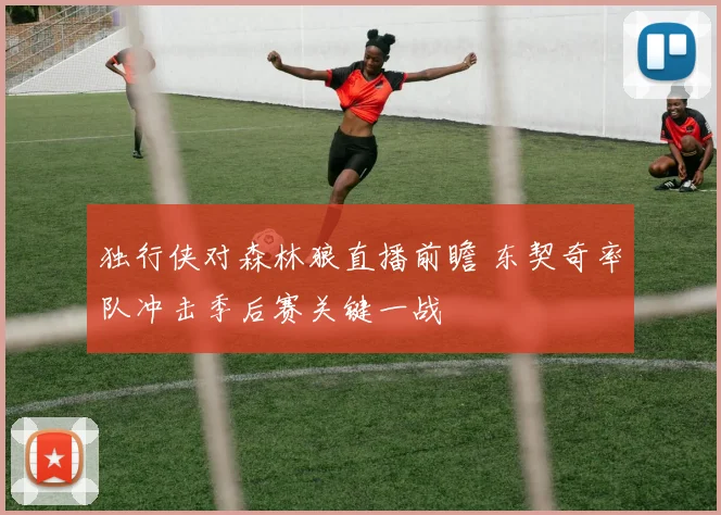 独行侠对森林狼直播前瞻 东契奇率队冲击季后赛关键一战