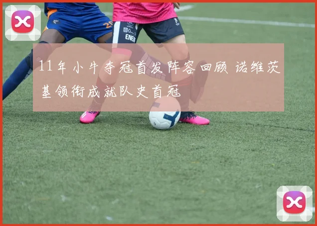 11年小牛夺冠首发阵容回顾 诺维茨基领衔成就队史首冠