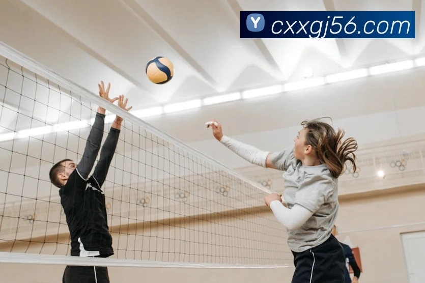 App Interface Preview