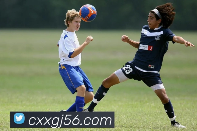 bat365备用登录APP 封面图